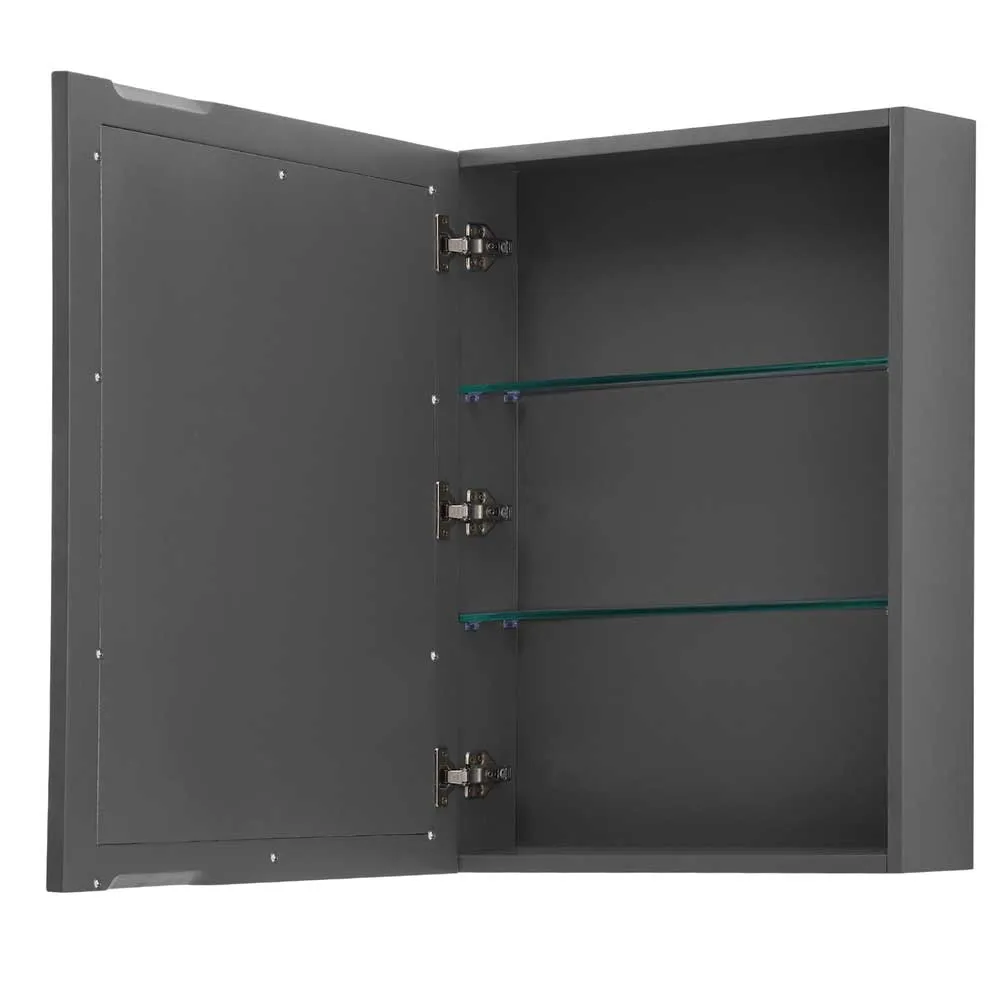 Daria 48 Inch Single Bathroom Vanity in Dark Gray