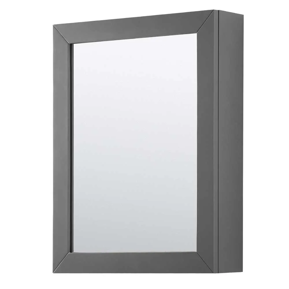 Daria 48 Inch Single Bathroom Vanity in Dark Gray