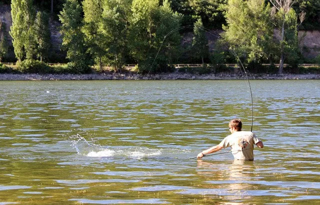 Karpfenrute "Imperial Baits Multirange" 12ft 2,75lb - wieder verfügbar!