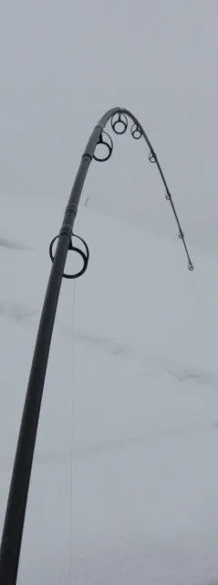 Karpfenrute "Imperial Baits Multirange" 12ft 2,75lb - wieder verfügbar!