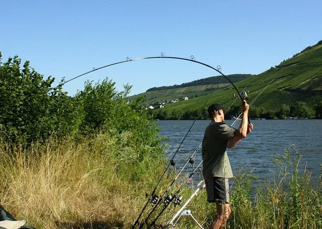 Karpfenrute "Imperial Baits Multirange" 12ft 2,75lb - wieder verfügbar!