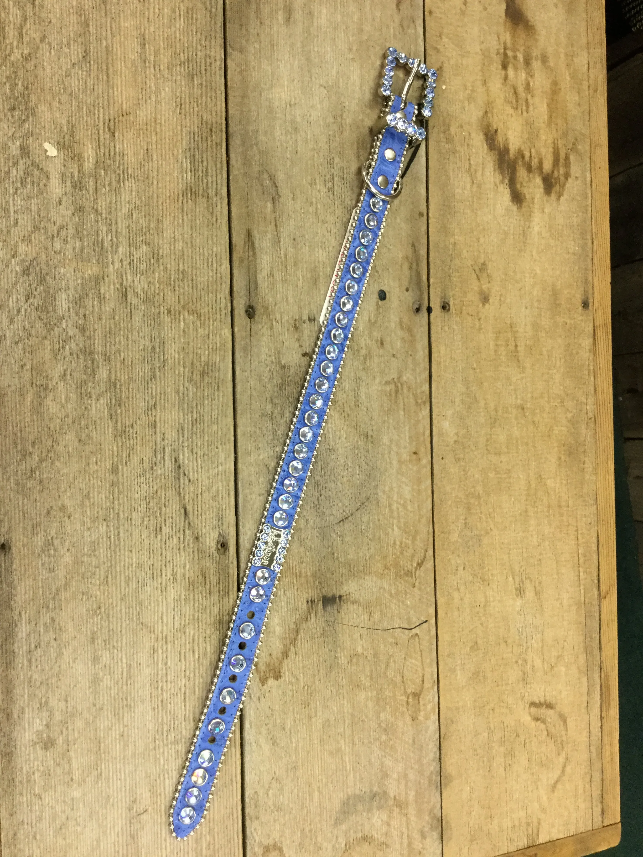 Large Dog Collar with Swarovski Crystals