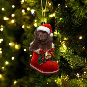 Newfoundland-In Santa Boot Christmas-Two Sided Ornament