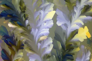 "BOTANICA" -Photograph of crystalline THCA