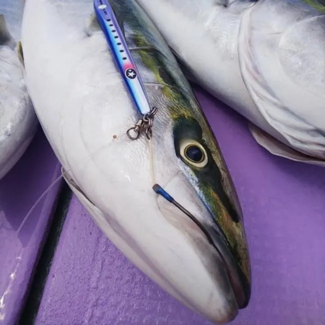 XESTA SLOW EMOTION FLARE SLIM SODANE METAL JIG 155g